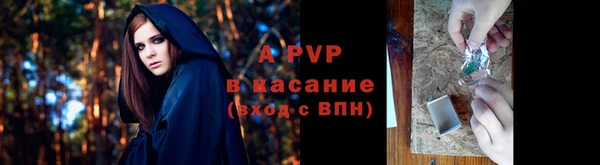 не бодяженный Михайлов