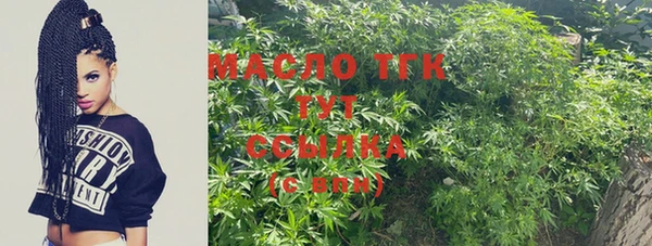 спиды Бородино