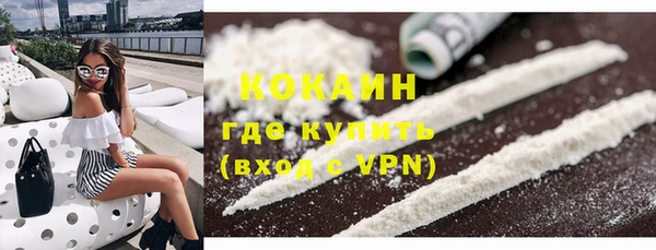 mdpv Богородицк